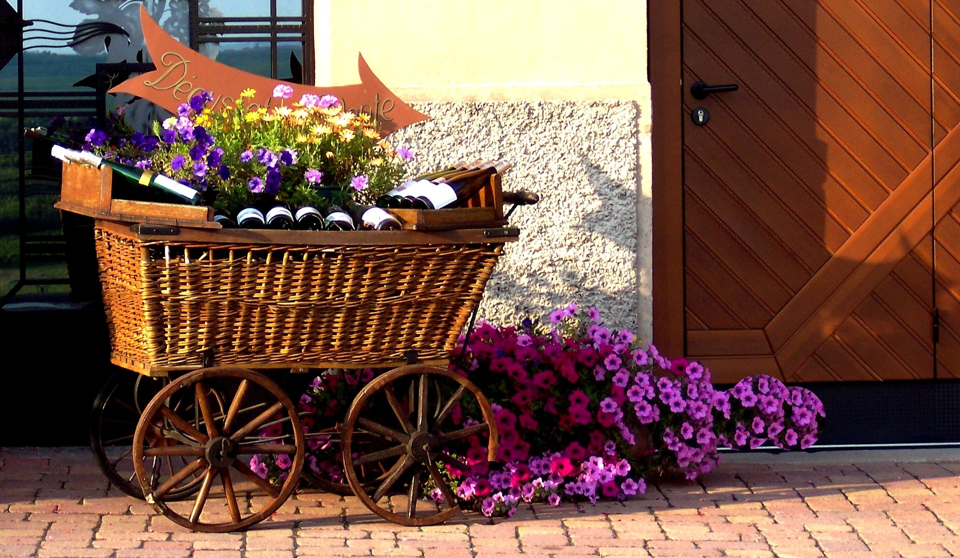 bottles of wine best wine regions of France 