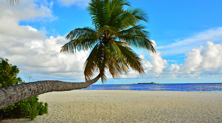 Enjoy the beautiful beaches of Maldives