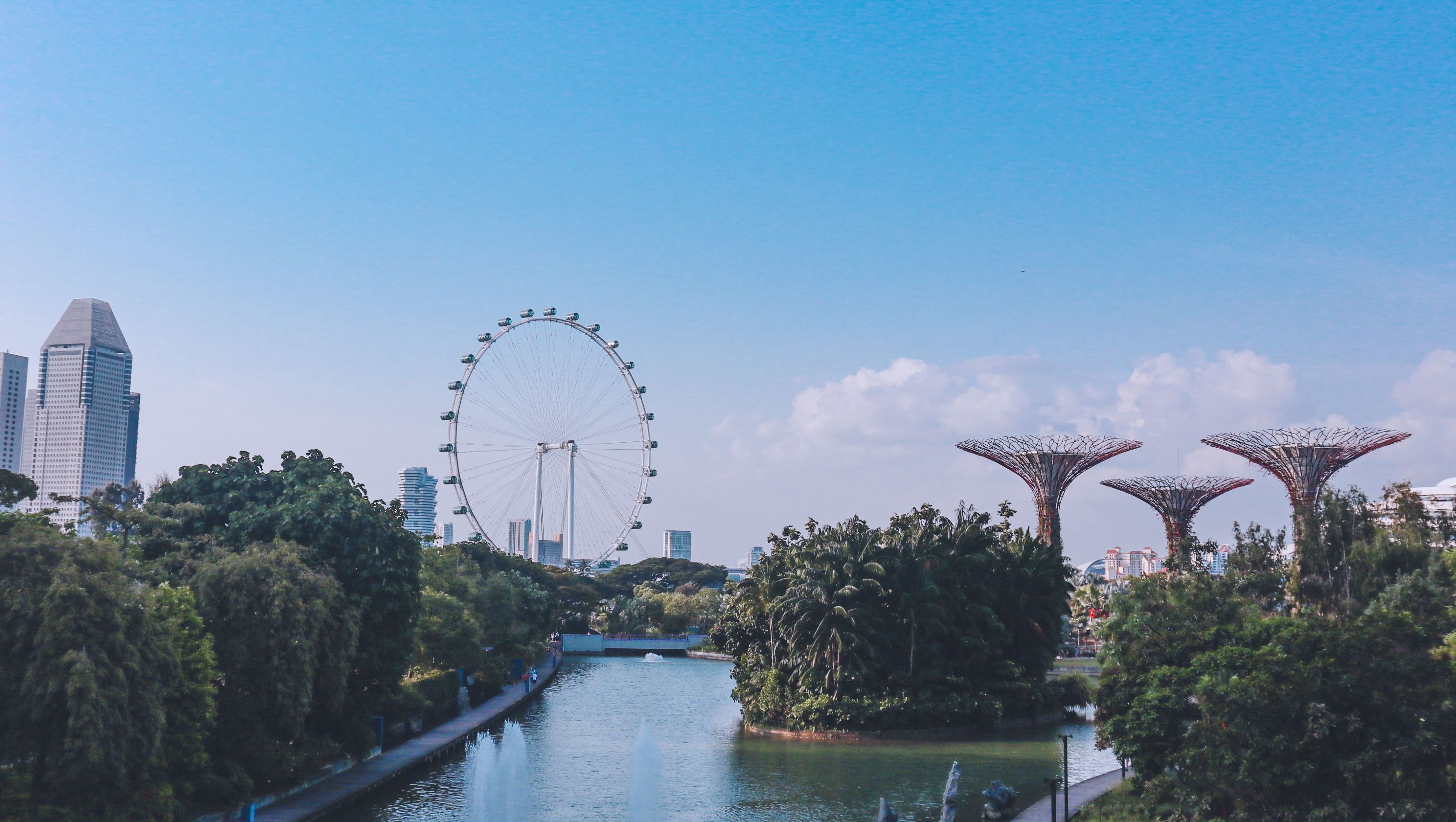 An aerial view of Gardens by the Bay reveals Singapore’s iconic Supertrees rising beside Marina Bay